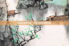山东小程序开发，开发小程序软件公司