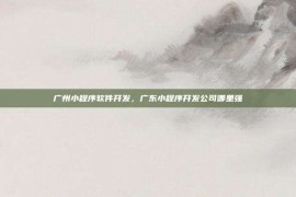 广州小程序软件开发，广东小程序开发公司哪里强