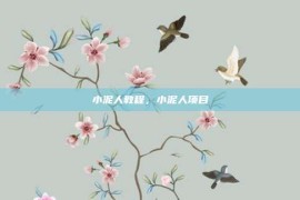 小泥人教程，小泥人项目