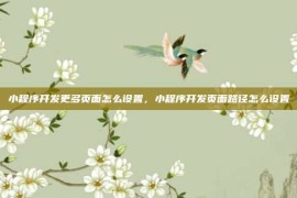 小程序开发更多页面怎么设置，小程序开发页面路径怎么设置