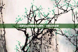 注册小公司需要什么条件，小型公司注册