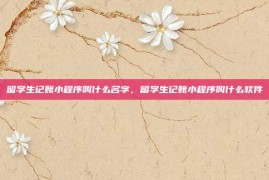 留学生记账小程序叫什么名字，留学生记账小程序叫什么软件