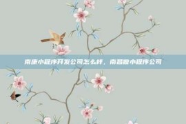 南康小程序开发公司怎么样，南昌做小程序公司