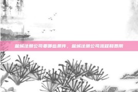 盐城注册公司要哪些条件，盐城注册公司流程和费用