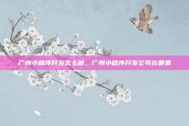 广州小程序开发怎么做，广州小程序开发公司在哪里