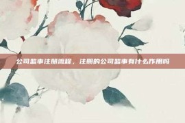 公司监事注册流程，注册的公司监事有什么作用吗