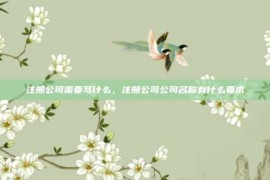 注册公司需要写什么，注册公司公司名称有什么要求