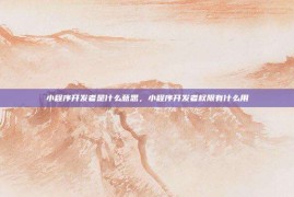 小程序开发者是什么意思，小程序开发者权限有什么用