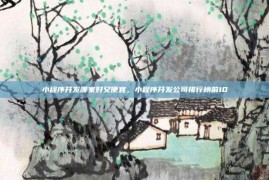 小程序开发哪家好又便宜，小程序开发公司排行榜前10