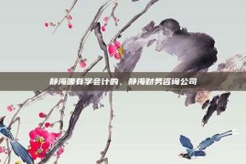 静海哪有学会计的，静海财务咨询公司