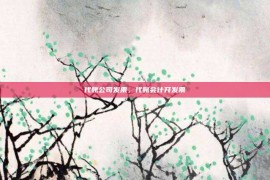 代账公司发票，代账会计开发票