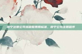 南宁注册公司流程和费用标准，南宁公司注册程序