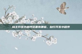 自主开发小程序设备有哪些，自行开发小程序