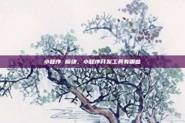 小程序 模块，小程序开发工具有哪些