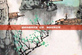 温州小程序开发 公司，瑞安软件公司