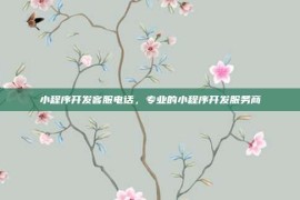 小程序开发客服电话，专业的小程序开发服务商