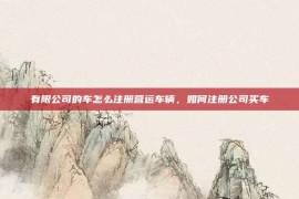 有限公司的车怎么注册营运车辆，如何注册公司买车