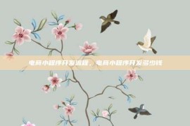电商小程序开发流程，电商小程序开发多少钱