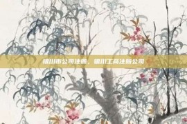 银川市公司注册，银川工商注册公司