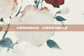 记账软件的作用，记账软件功能介绍