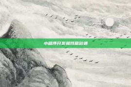 小程序开发就找赢站通