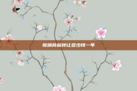 恒斓商标转让多少钱一年