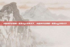 小程序开发费用一览表dgu华网天下，小程序开发费用一览表wgj华网天下