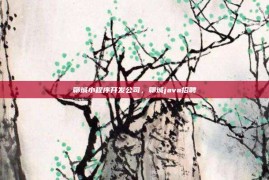 聊城小程序开发公司，聊城java招聘