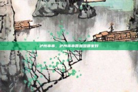 泸州串串，泸州串串香加盟哪家好