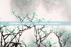 开发小程序公司哪个上市了，开发小程序公司经营范围是什么