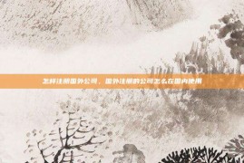 怎样注册国外公司，国外注册的公司怎么在国内使用