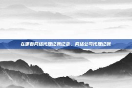 在哪看网络代理记账记录，网络公司代理记账