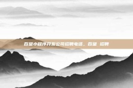 百望小程序开发公司招聘电话，百望 招聘
