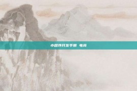 小程序开发手册 电商