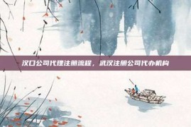 汉口公司代理注册流程，武汉注册公司代办机构