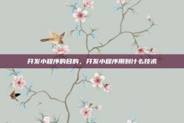 开发小程序的目的，开发小程序用到什么技术