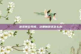 游资有公司吗，注册制游资怎么办