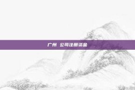 广州 公司注册资金