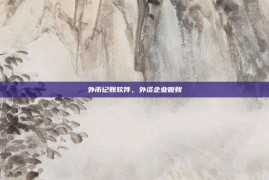 外币记账软件，外资企业做账