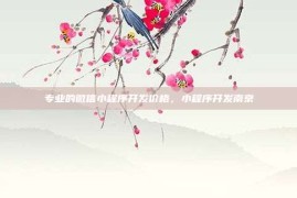 专业的微信小程序开发价格，小程序开发南京