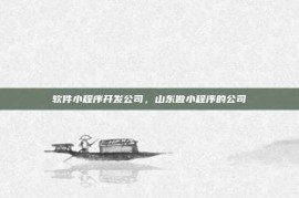 软件小程序开发公司，山东做小程序的公司