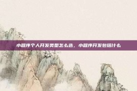小程序个人开发类型怎么选，小程序开发包括什么