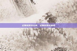记账软件怎么样，记账软件可靠吗