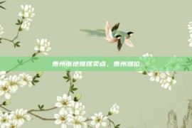 惠州市地摊摆卖点，惠州摊位