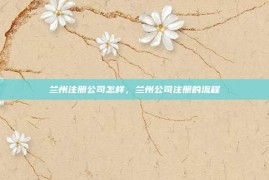 兰州注册公司怎样，兰州公司注册的流程