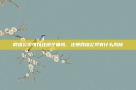 网络公司可以注册个体吗，注册网络公司有什么风险