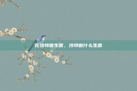 在沙特做生意，沙特做什么生意