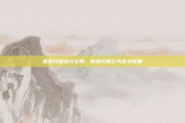 南京代账会计公司，南京代账公司怎么收费
