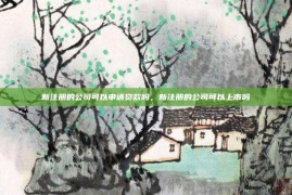 新注册的公司可以申请贷款吗，新注册的公司可以上市吗