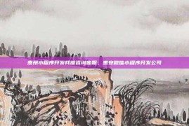 惠州小程序开发找谁咨询客服，惠安微信小程序开发公司